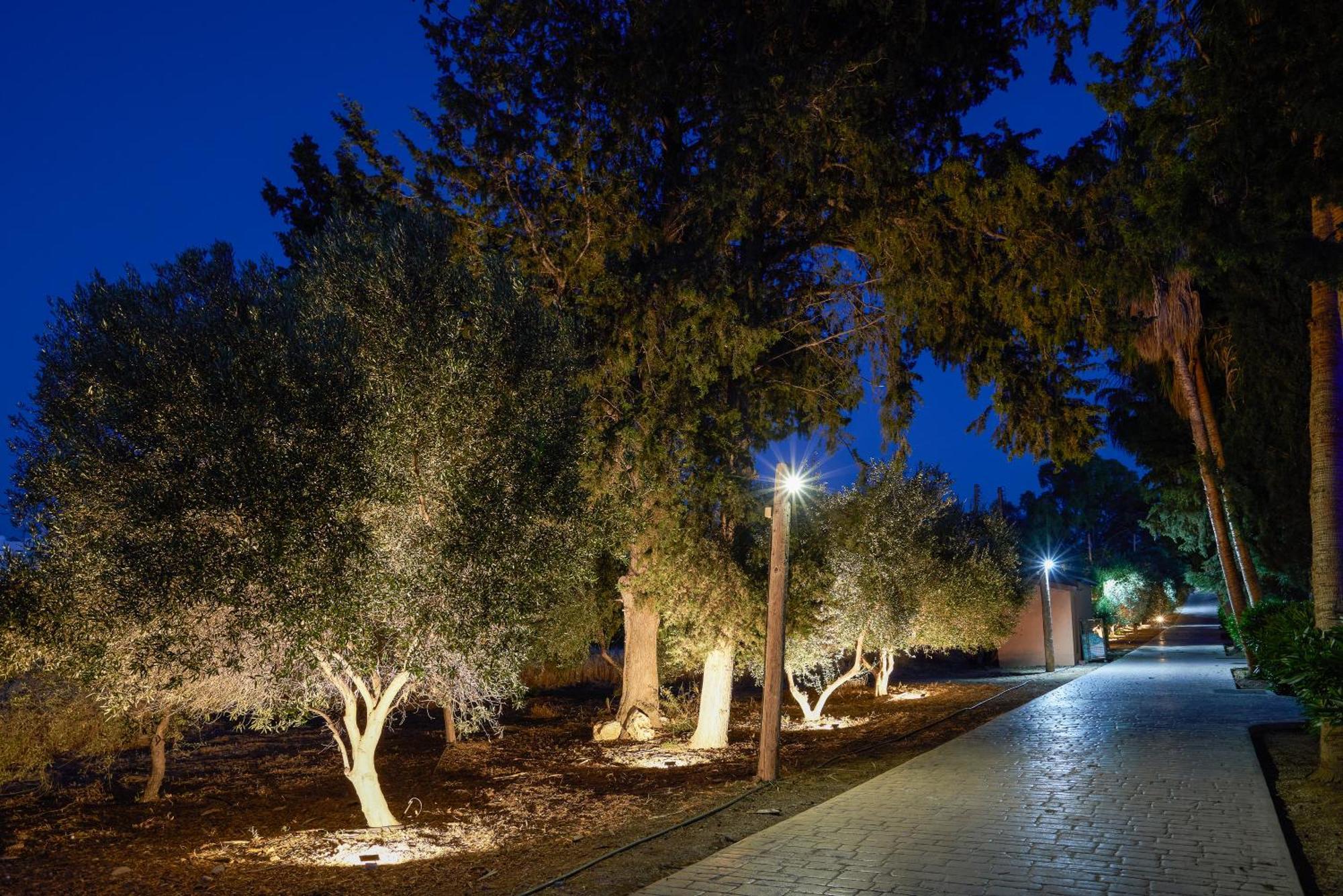 The Olympians Villas Polis Exterior photo